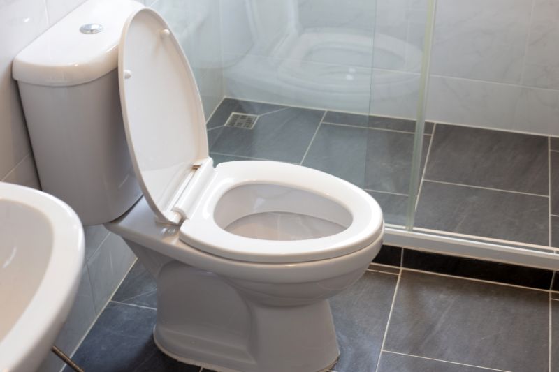 Broken Toilet Repair in Denver, CO